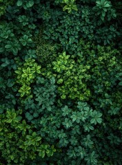 Dense foliage textures in shades of green