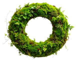 Circular Wreath of Lush Green Moss and Twisting Vines, isolated on transparent background PNG
