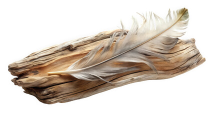 A sleek, delicate feather rests on a textured piece of driftwood, showcasing earthy tones and a natural, serene ambiance.