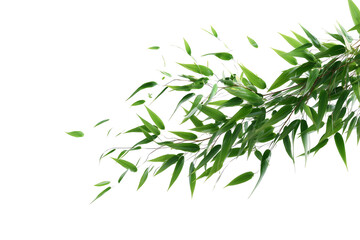 Leaves blowing in the wind on transparent background