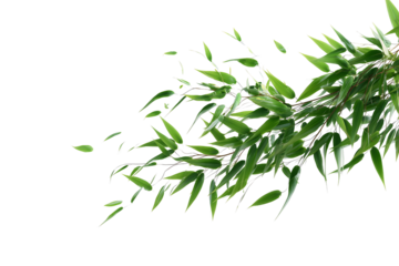 Leaves blowing in the wind on transparent background