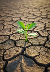 A single green seedling bravely pushes through the cracked, dry earth, symbolizing resilience and the persistent hope of new life in a harsh environment