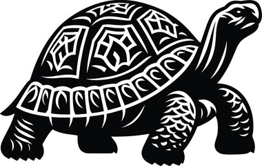 Tortoise vector illustration isolated on white background