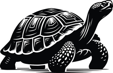 Tortoise vector illustration isolated on white background