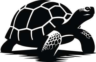 Tortoise vector illustration isolated on white background