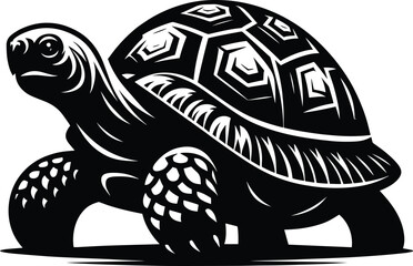Tortoise vector illustration isolated on white background