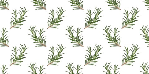 Beautiful rosemary branches arranged in a seamless pattern on a white background for home decor or culinary design