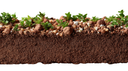 Earthy Layers: A cross-section reveals the intricate layers of soil, rocks, and emerging plant life. This shot offers a visual journey into the earth's composition and the beginning of life.