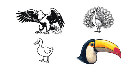 "Stylized Bird Illustrations Collection: Vulture, Peacock, Duck, and Toucan Designs"