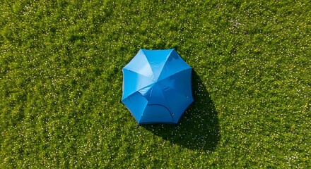 Aerial view of a vibrant blue umbrella resting on a lush green meadow background