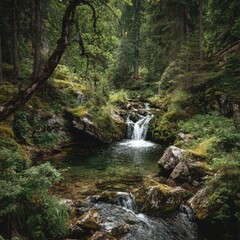 A serene waterfall flowing through a lush green forest.