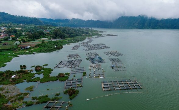 Aerial view of fish farms on Lake Batur, Bali, Indonesia. The cages are used for aquaculture, providing a source of income and food for the local community.