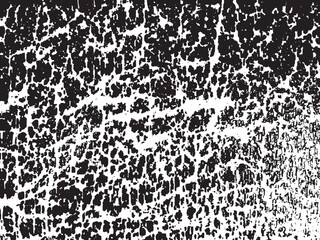 Abstract Black and White Organic Texture