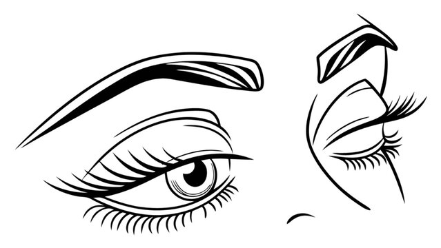 Eye makeup tutorial illustration for beauty blog and fashion design with eyebrow and eyelashes drawing