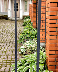 View from behind the fence to the entrance of a beautiful rural house with well-maintained cobblestone and flowered grounds