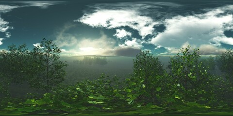 Trees in the fog, Environment map, HDRI map, equidistant projection, Spherical panorama, landscape, 360,
3D rendering
