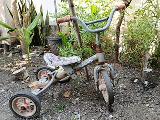 old bicycle in the garden