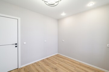 minimalist room with gray walls, a light wood floor, and a white door with black hardware.  Ceiling...