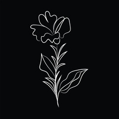 black and white flowers