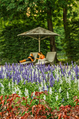 Hungary, Budapest, Margit sziget. Botanical parts of the island. Amazing colorful flowers everywhere.
