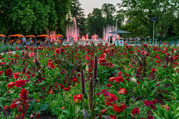 Hungary, Budapest, Margit sziget. Botanical parts of the island. Amazing colorful flowers everywhere.