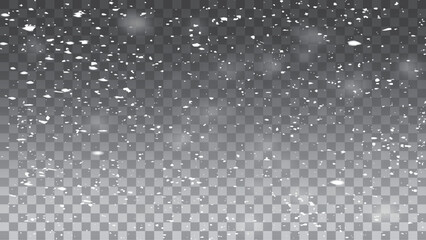 Falling snowflakes in transparent beauty, delicate and small, isolated on a clear background.