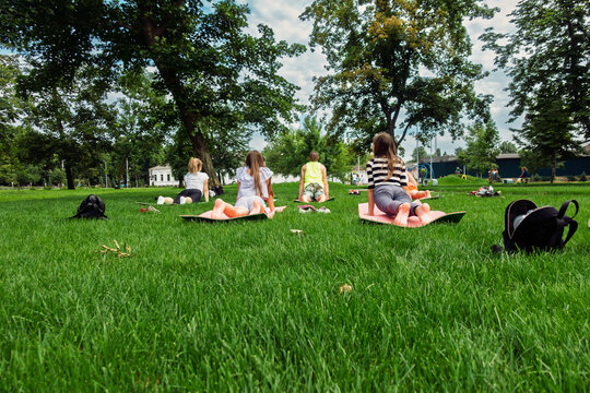 Group of people, adults and children, exercising or doing yoga on mats in a sunny grassy park. Healthy outdoor activity and relaxation.
