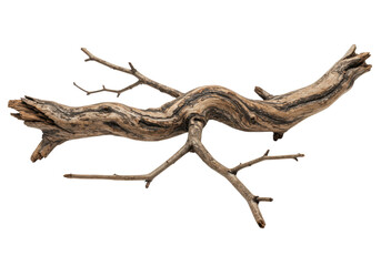 Deeply weathered, gnarled, twisted tree branch with dark browns, charcoal greys, cracks, knots & delicate offshoots, isolated on a clean white background, no shadows, high-key light, concept of