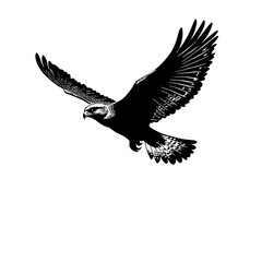 Fototapeta premium Illustration of a black silhouette of a hawk in flight PNG