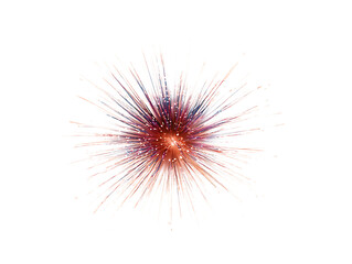 Exploding fireworks starburst with red and white streaks isolated on transparent background