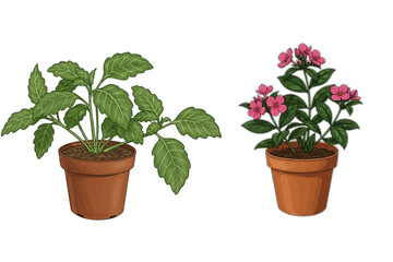 Obraz premium Potted plants graphic featuring green leafy growth and pink flowering plants for botanical designs and floral decorations.