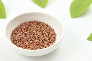 未来へ繋がる小さな人参の種