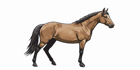 Elegant Horse Vector in Side Profile with Clean Lines