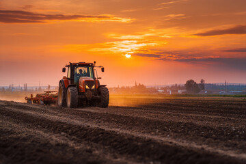 Tractor drives across large field making special beds for sowing seeds into purified soil. Agricultural vehicle works at sunset in countryside