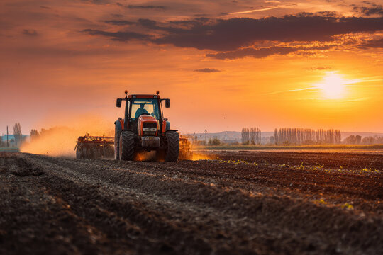 Tractor drives across large field making special beds for sowing seeds into purified soil. Agricultural vehicle works at sunset in countryside