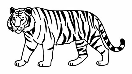 Naklejka premium Walking Tiger Line Drawing – Wild Animal Jungle Vector Art Illustration