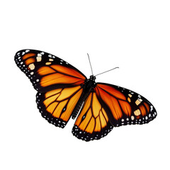 Butterfly isolated on white background with vibrant wings and delicate details

