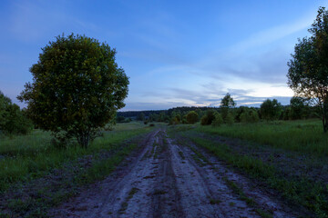 Countryside dirt road through green field at twilight