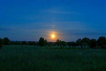 Full moon rising over trees in rural meadow at twilight