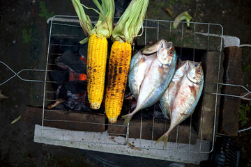 Yellow corns and mackerel fishes grilled over hot charcoal