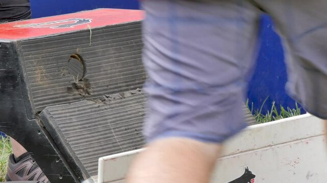 Dog grabbing at tennis balls