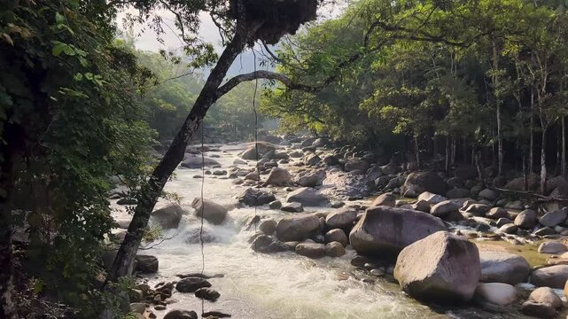 Crystal-clear river flowing over rocks in lush Daintree Rainforest, Queensland