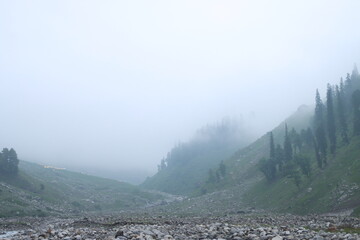 fog in the mountains