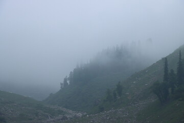 fog in the mountains