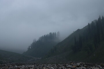 fog in the mountains
