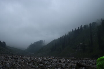 fog in the mountains