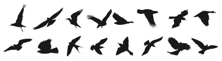 Set flying bird silhouettes vector illustration