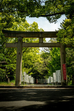 Torii Gate at Wakayama Castle, Wakayama, Japan