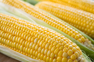 A detailed close-up image showcasing the vibrant yellow texture of fresh corn. This visually striking image can be used as a background, highlighting its natural appeal