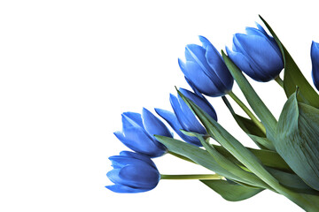 a bunch of blue flowers in a vase